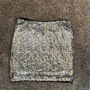 Sequin Skirt
